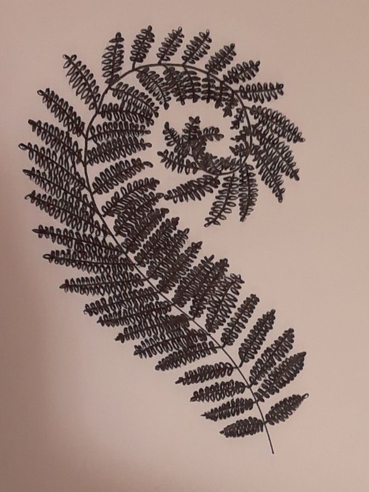 a black and white photo of a plant on a pink background with the words fern written in it