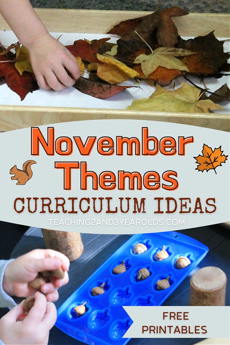 Pre Schooler Activities November, November Ideas For Toddlers, November Theme Preschool, Preschool Themes For November, November Prek Crafts, November Toddler Themes, Preschool November Themes, Toddler November Activities, November Themes For Toddlers