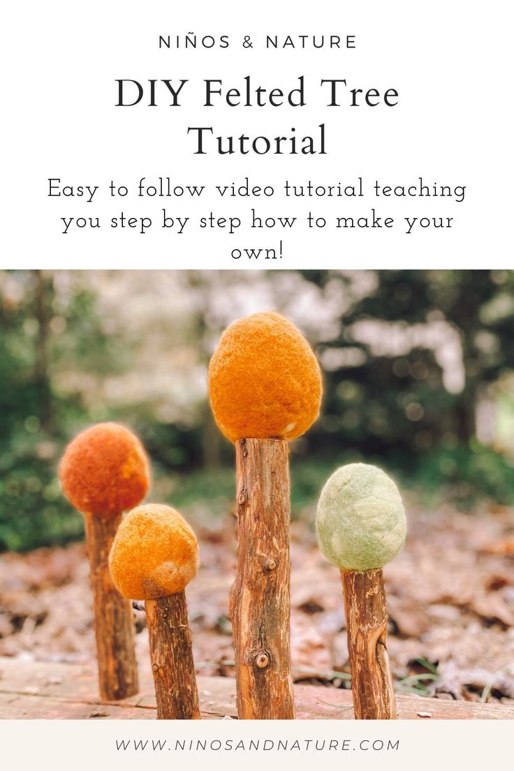 three orange and white mushrooms sitting on top of wooden sticks in the woods with text overlay