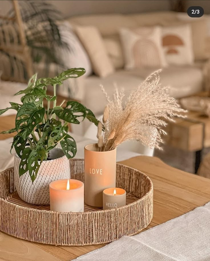 two candles are sitting on a tray with some plants in the middle and a potted plant next to it