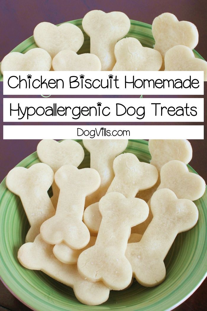 chicken biscuit homemade hypoarenic dog treats on a green and white plate