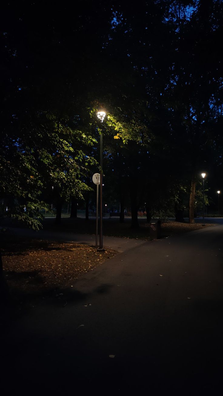 an empty street at night with lights on and trees lining the sidewalk in the background