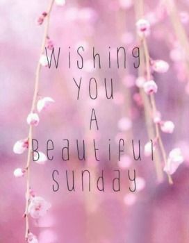 the words wishing you a beautiful sunday are displayed