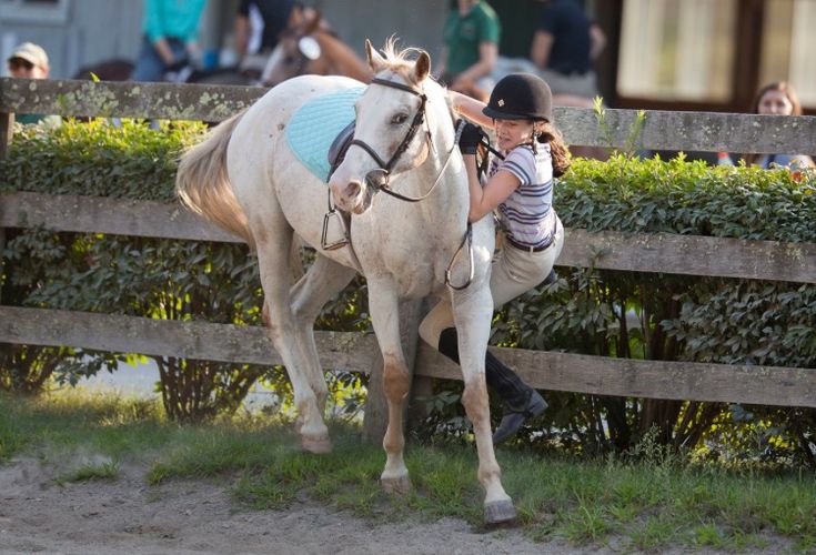 People Falling Off Horses, Falling Off Horse, Horse Fails, Sarah Stone, Kids Falling, Horse Bridle, Horse Life, A Horse, Tom Holland