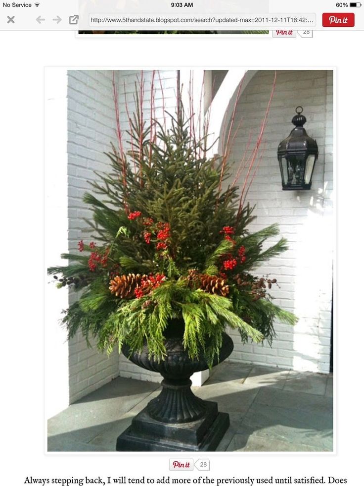 a large potted plant sitting on top of a black stand next to a building