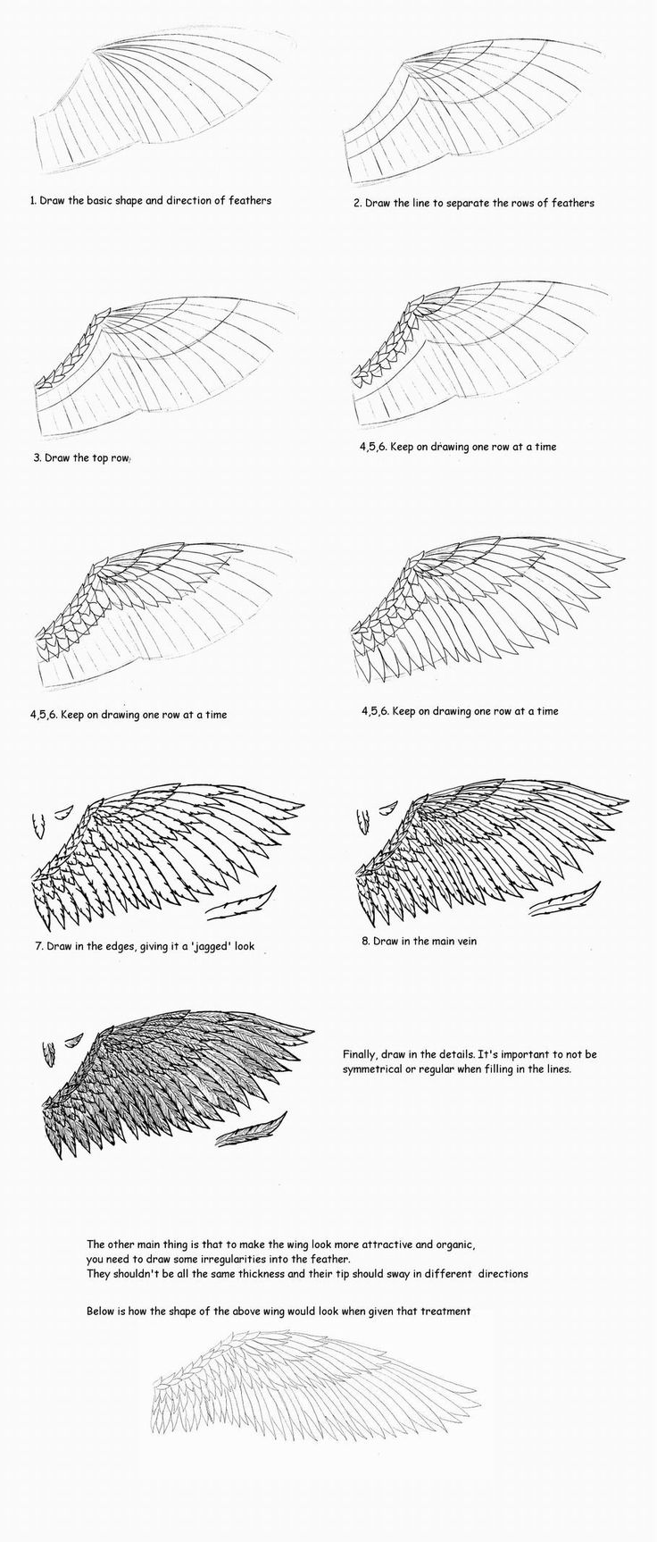 the steps to drawing an animal's tail with pencils and ink on paper