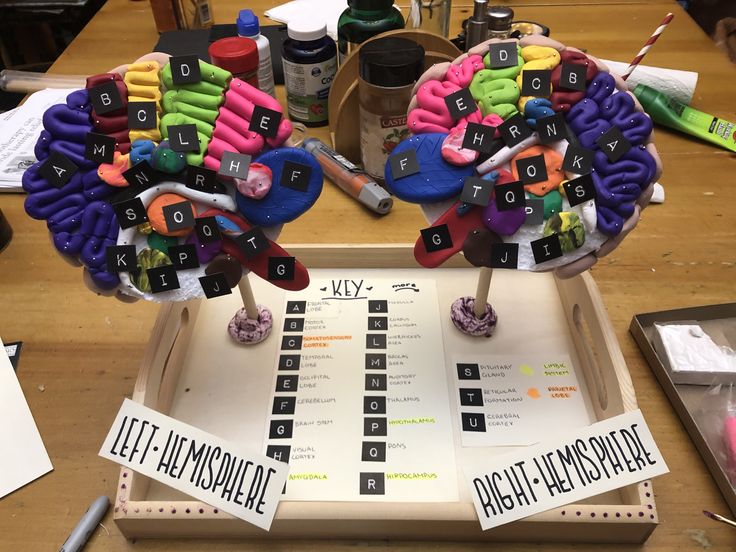 two fake hairbrushes are sitting on top of a desk with paper and markers