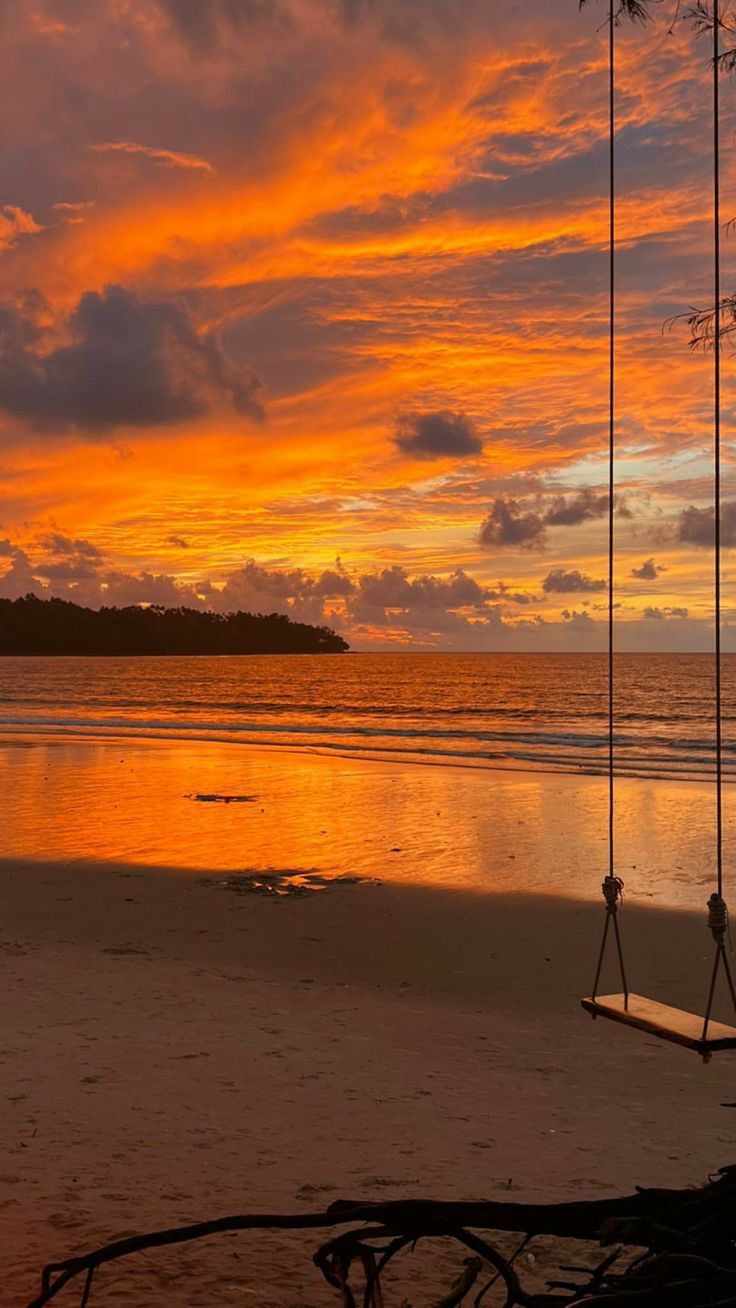 a swing hanging from a tree on the beach at sunset with clouds in the sky