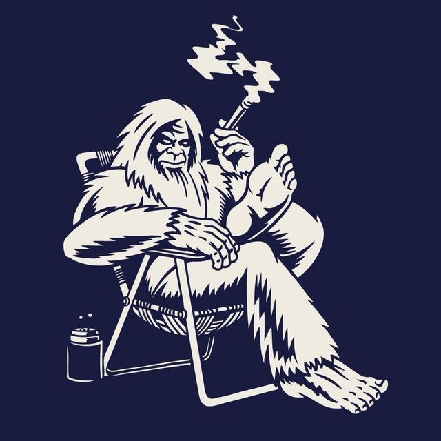 Bigfoot Drawing, Bigfoot Illustration, Sasquatch Funny, Bigfoot Pictures, Bigfoot Art, Finding Bigfoot, Cool Stencils, Wood Burning Stencils, Adobe Illustrator Design