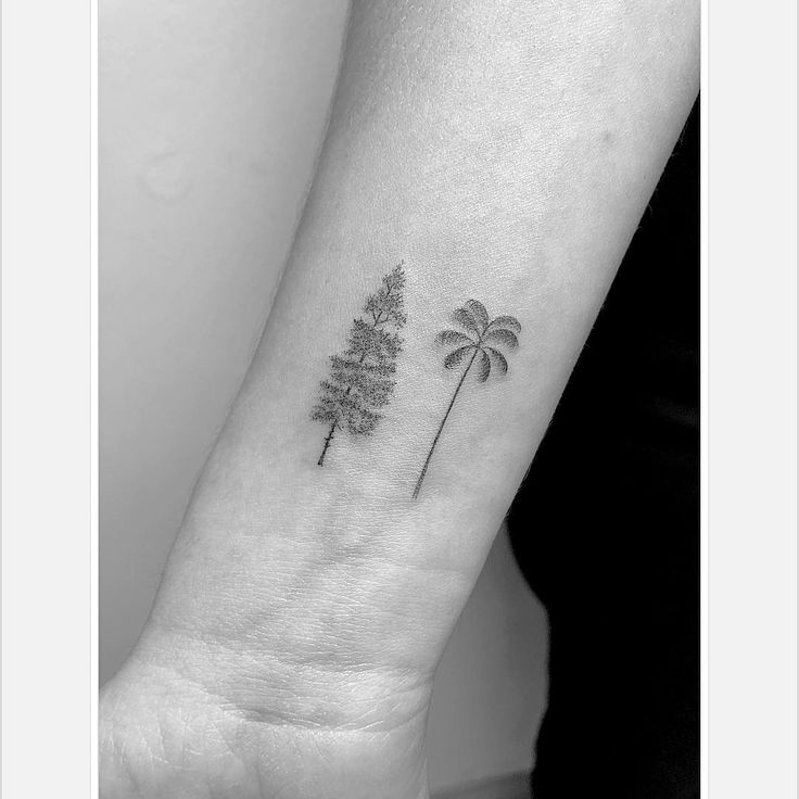 a small palm tree tattoo on the left inner forearm and wrist with pine trees in the background