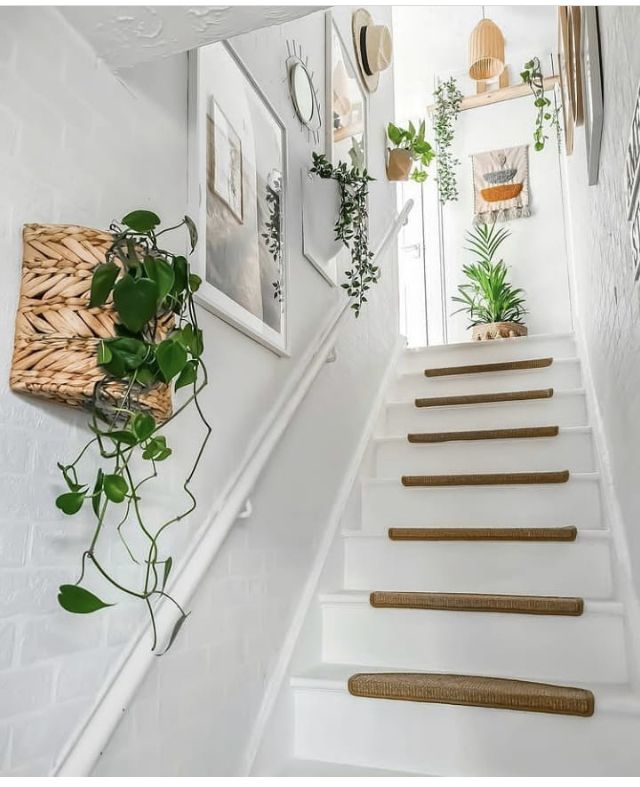 there is a white staircase with plants on the wall and pictures hanging up above it