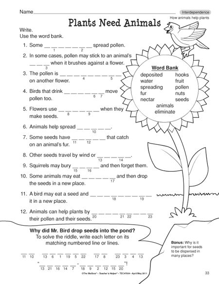 plants need animals worksheet with answers and pictures to help students understand the plant