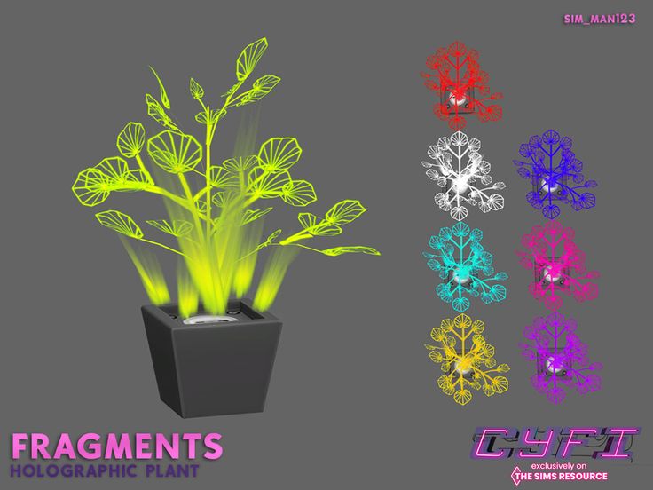 an image of some plants that are glowing in the dark night time with neon colors