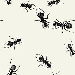 black ants on white paper napkins in the shape of an antelope pattern