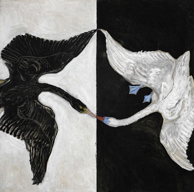 two black and white birds flying next to each other in the same painting on paper