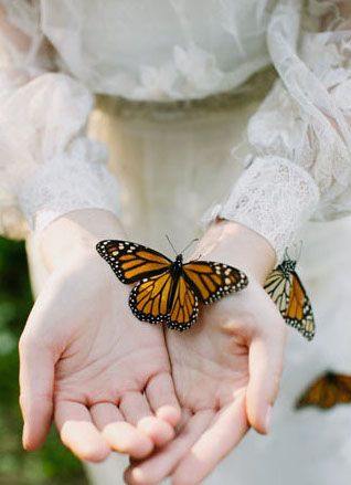 a woman in white dress holding two butterflies on her hands, both with their hands together