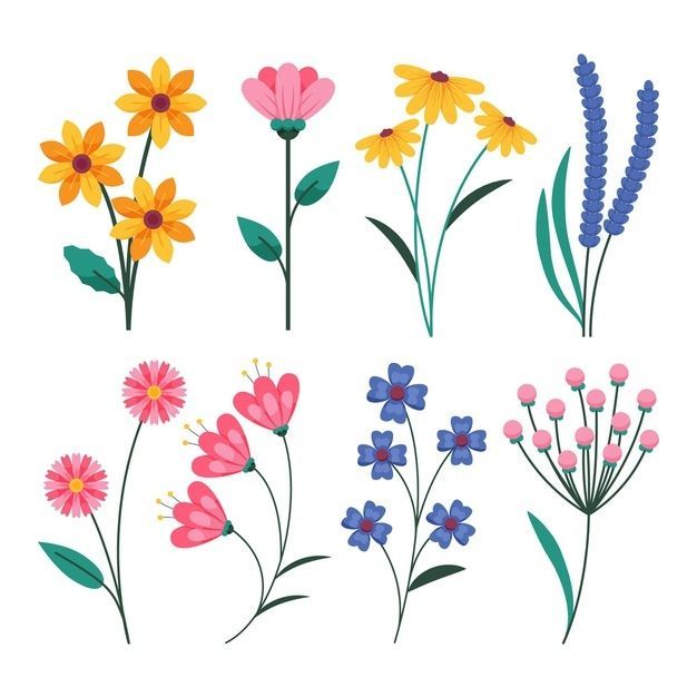 different types of flowers are shown in this image, including daisies and wildflowers