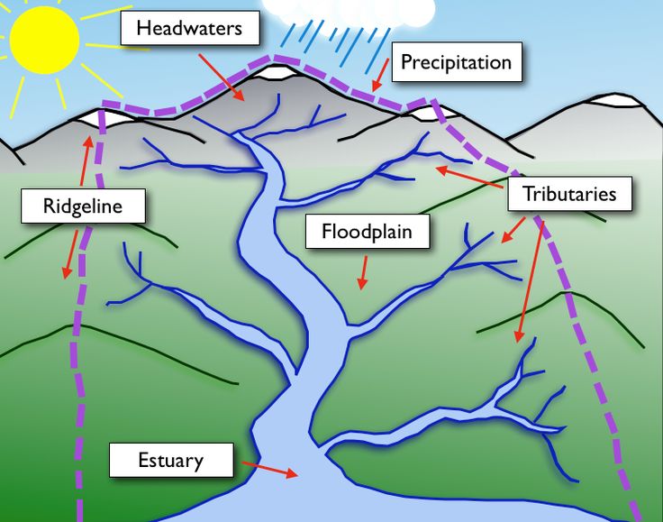 the water cycle is shown in this diagram, which shows how it's formed