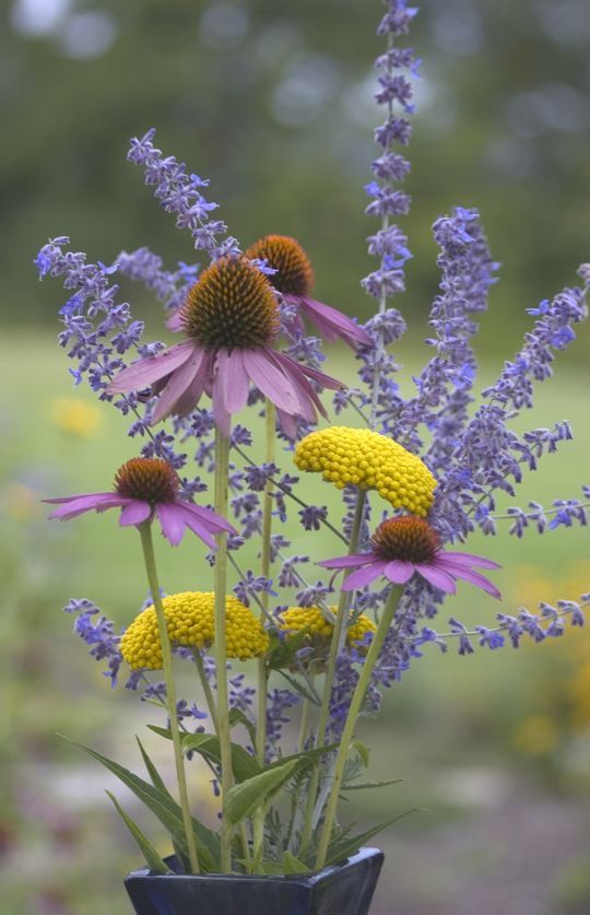 purple and yellow flowers in a blue vase