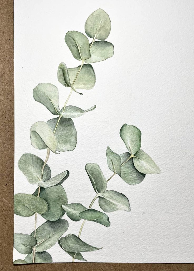 a watercolor painting of green leaves on a white paper with a brown background,