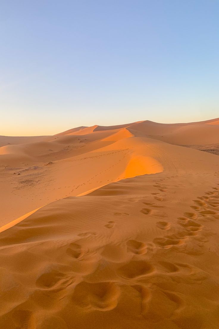 footprints in the sand at sunset or sunrise over dunes and desert grass, with blue sky above