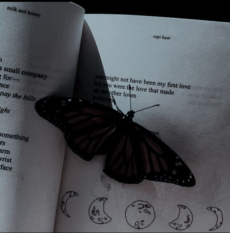 a black and white photo of a butterfly on top of an open book with moon phases