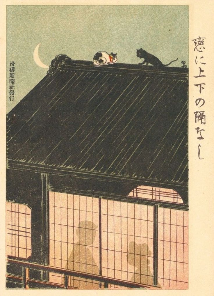 two cats sitting on top of a building with windows and a moon in the sky