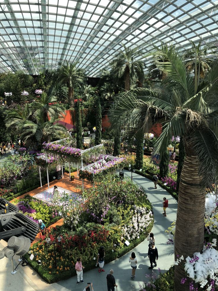 people are walking around in the garden at gardens by the bay, which is one of the most beautiful places in the world