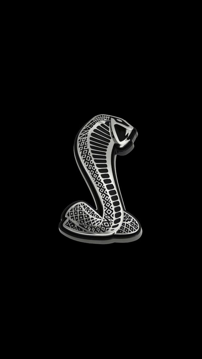 a silver snake on a black background