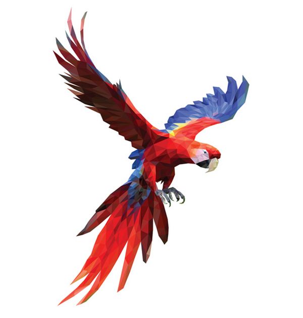 a colorful parrot flying through the air