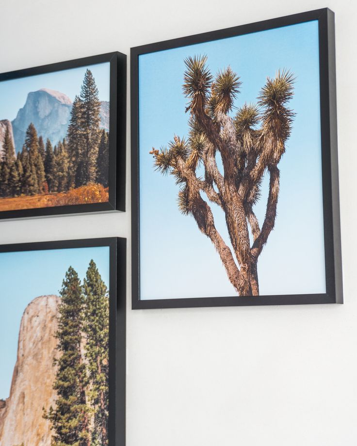 Gallery wall with posters from the Yosemite & Joshua Tree Collections featuring mountain  and desert landscapes. Joshua Tree Poster, Joshua Trees, Travel Gallery Wall, The Joshua Tree, Tree Poster, Wall Inspiration, Gallery Wall Inspiration, Mojave Desert, Clear Blue Sky