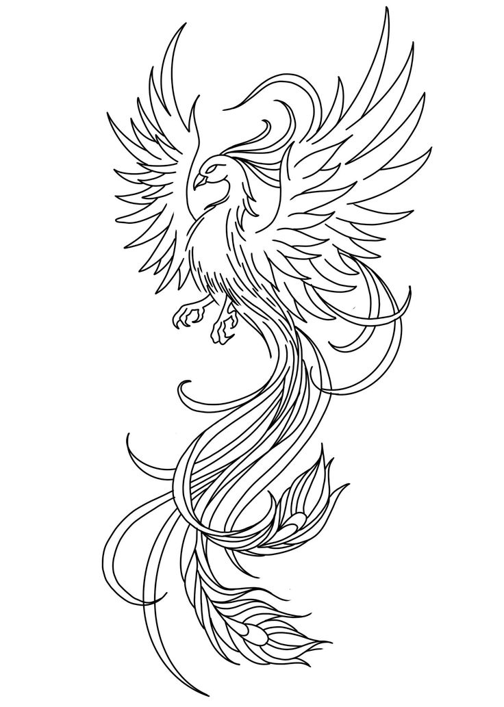 a black and white drawing of a bird with long, wavy hair on it's wings