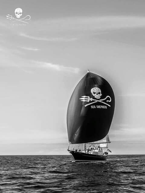 a black and white photo of a sailboat in the ocean with skull on it