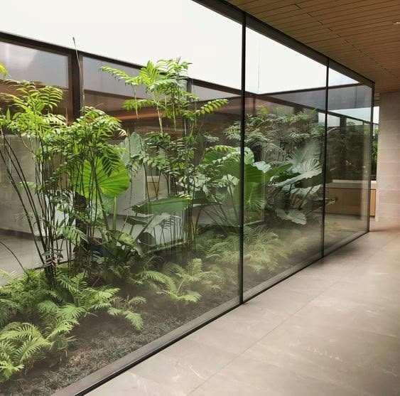 a glass wall with plants inside of it