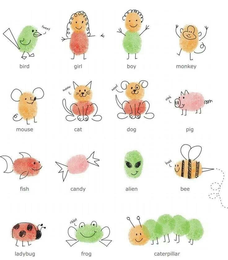 the very many different kinds of bugs and insects