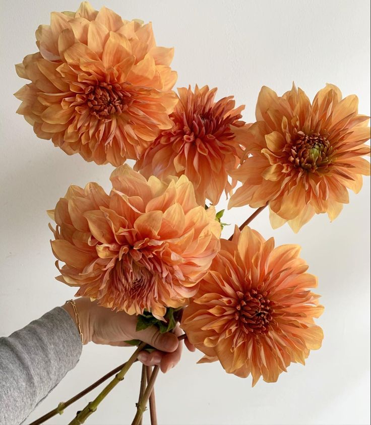 a person is holding flowers in their hand