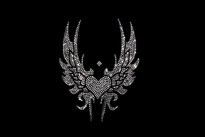 a black background with an image of a bird on it's back and wings in the middle