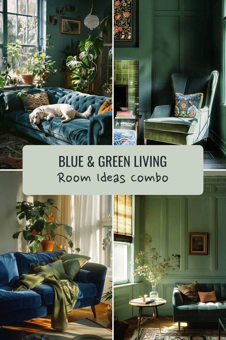 blue and green living room ideas combo with couches, windows, rugs and plants