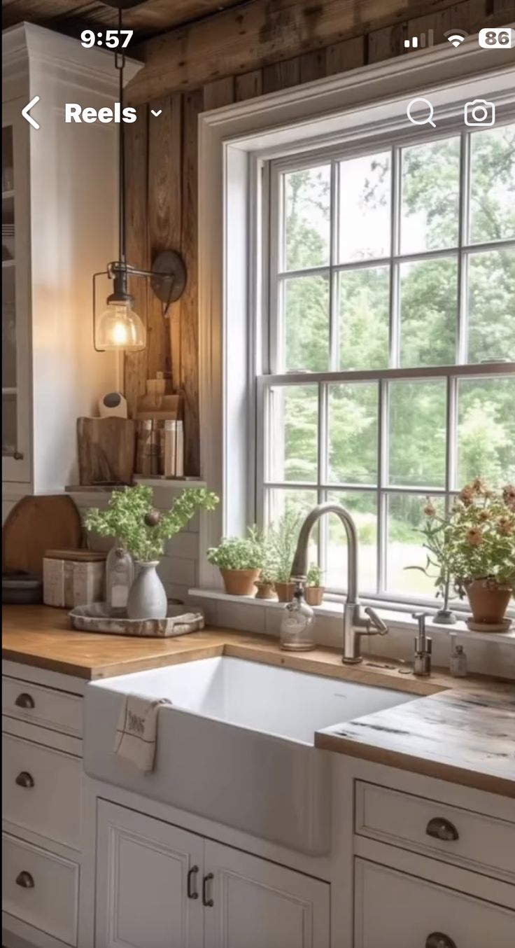 a kitchen sink sitting under a window next to a wooden counter top with potted plants on it