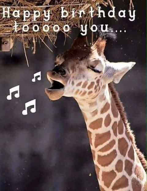 a giraffe with its mouth open and music notes in the background that says happy birthday to you