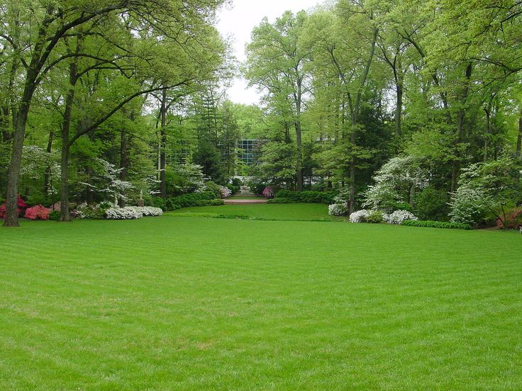 a lush green lawn surrounded by trees and bushes