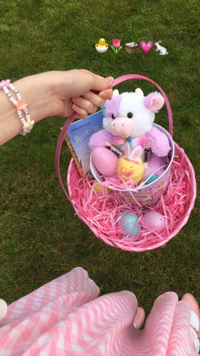 a person holding a pink basket filled with stuffed animals and other items on the grass