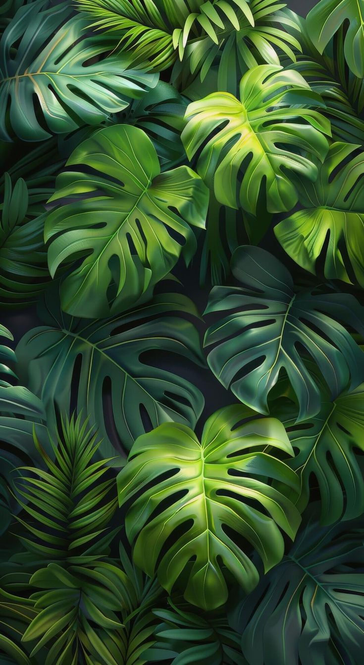 an image of some green leaves on a black background for wallpaper or backdrops