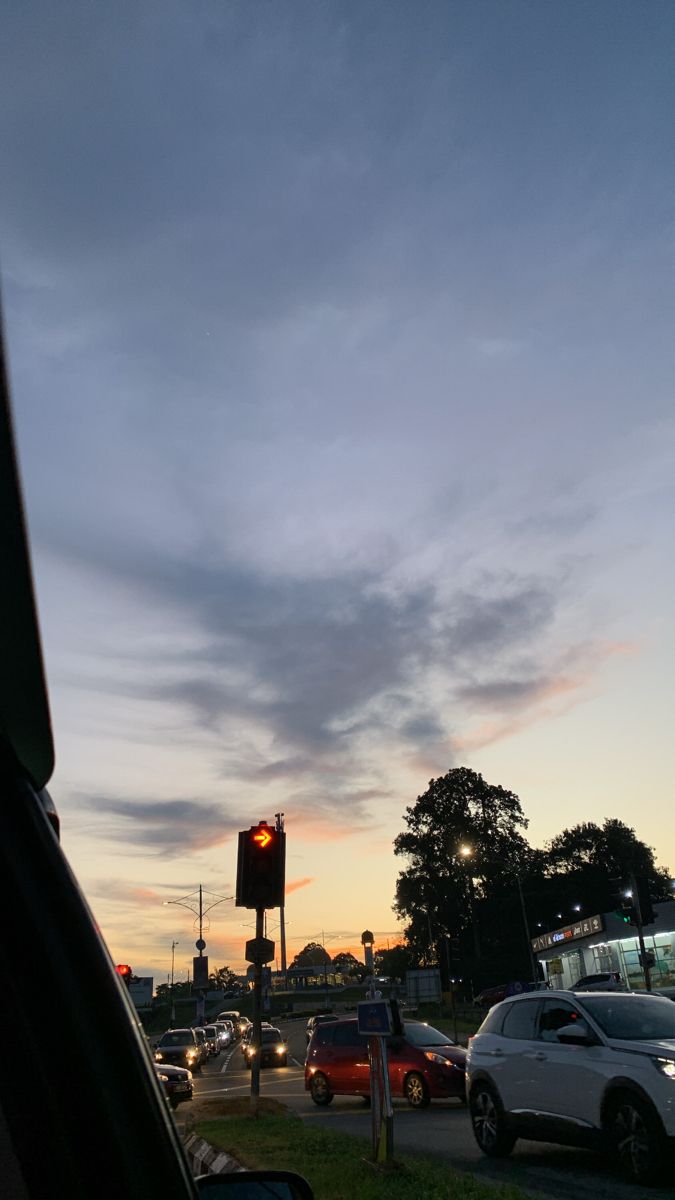 a traffic light sitting on the side of a road next to a lush green field