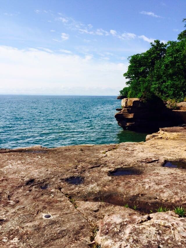 the water is very blue and calm on this rocky shore with trees growing out of it