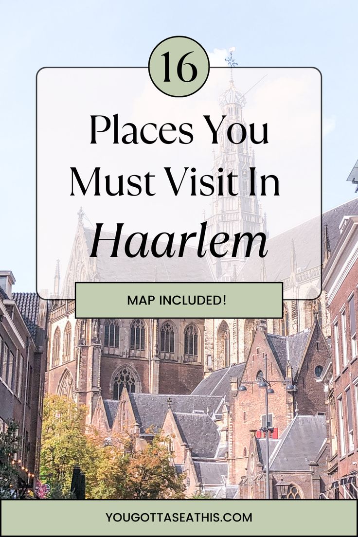 an old church with text overlay that reads, places you must visit in haarlem