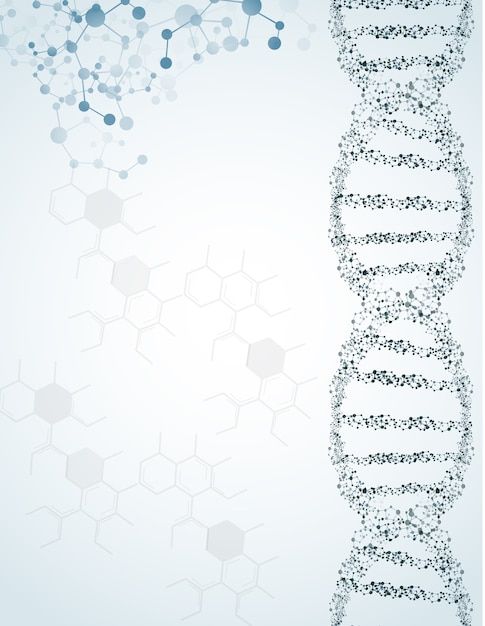 the structure of a human cell is depicted in this graphic illustration, and it appears to be made up of many different types of structures