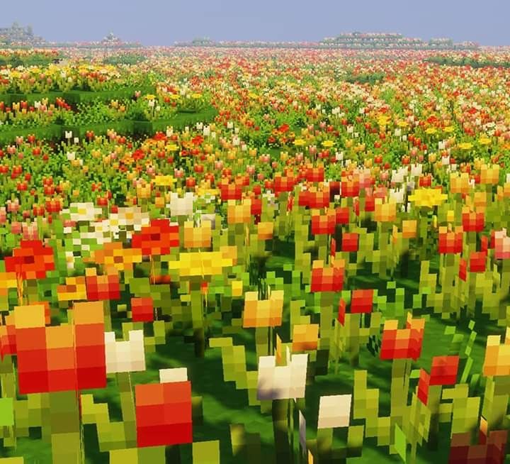 a field full of colorful flowers with trees in the background