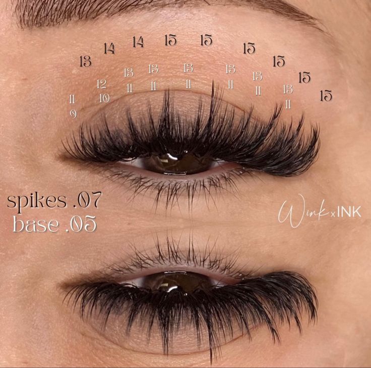 this is a lash map of a set of volume lash extensions with lengths to show how the set was created along with what diameter lashes were used to create a wispy strip lash inspired set Style Extensions, Lash Glue Remover, Lash Map, Natural Fake Eyelashes, Lashes Volume, Best Lash Extensions, Lashes Fake Eyelashes, Lashes Tutorial, Wispy Eyelashes