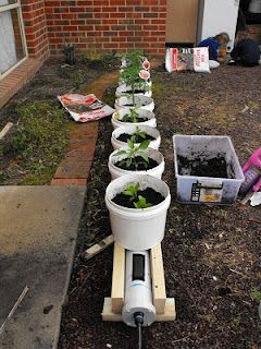 several potted plants are lined up in front of a brick building, with gardening equipment nearby